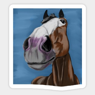 Funny horse portrait Sticker